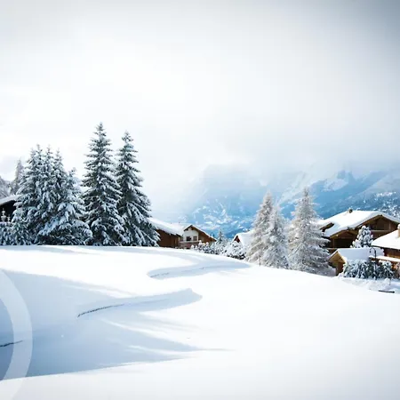 Richemont - A Charming In The Heart Of The Alps